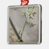 Kleine Bug, kleine bloem Metalen Ornament (Links)