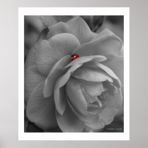 Kleine bug op een ventilator poster