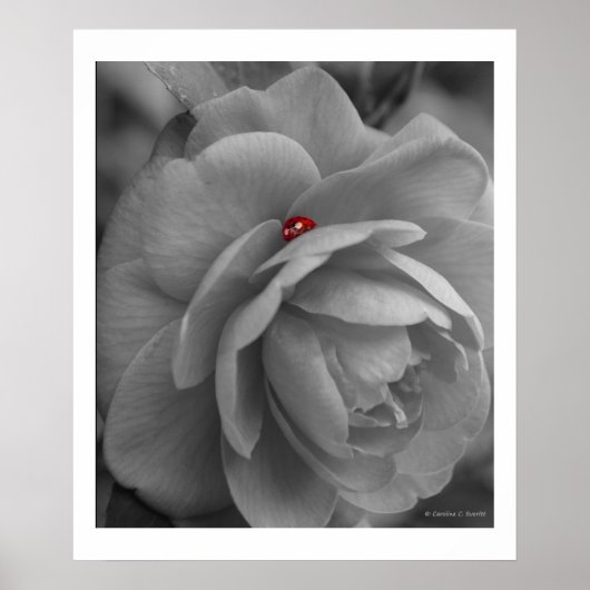 Kleine bug op een ventilator poster (Voorkant)