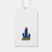 Kleine cactus