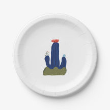 Kleine cactus