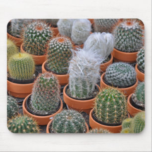 Kleine cactus-planten muismat