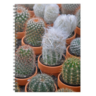Kleine cactus-planten notitieboek