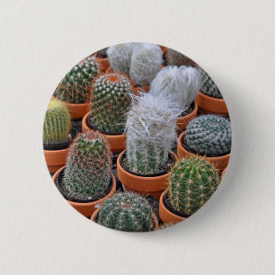 Kleine cactus-planten ronde button 5,7 cm