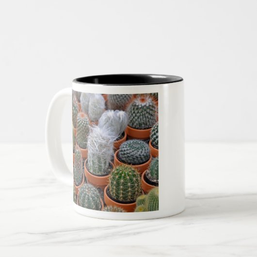 Kleine cactus-planten tweekleurige koffiemok (Voorkant links)