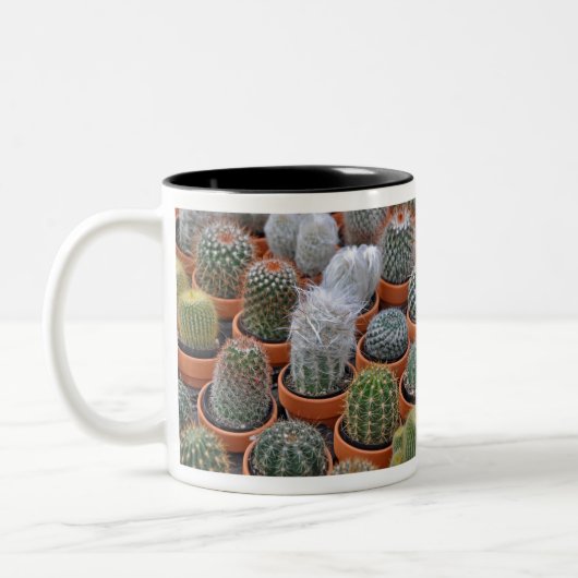 Kleine cactus-planten tweekleurige koffiemok (Links)