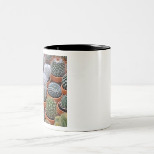 Kleine cactus-planten tweekleurige koffiemok (Center)