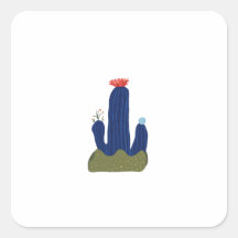 Kleine cactus