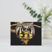 Kleine Carpenter Bee Close-up Briefkaart (Staand voorkant)