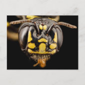 Kleine Carpenter Bee Close-up Briefkaart (Voorkant)
