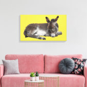 Kleine chocolade ezel Baby veulen leggen Canvas Afdruk (Insitu (Woonkamer))