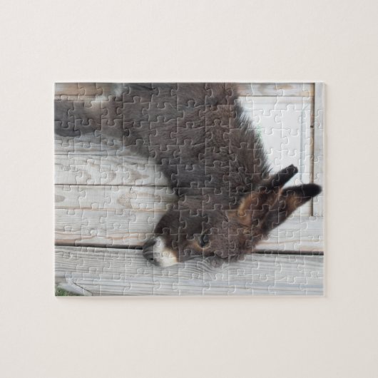 Kleine chocolade ezel legpuzzel (Horizontaal)