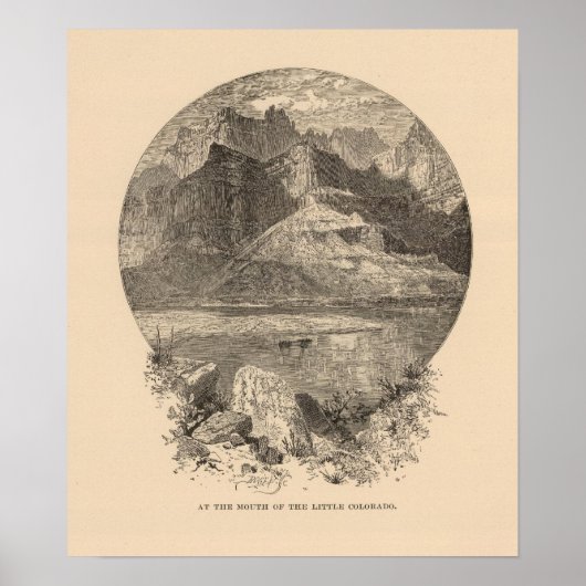 Kleine Colorado-mond Poster (Voorkant)