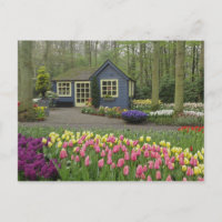 Kleine cottage bloemenwinkel, Keukenhof Tuinen,
