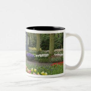 Kleine cottage bloemenwinkel, Keukenhof Tuinen, Tweekleurige Koffiemok