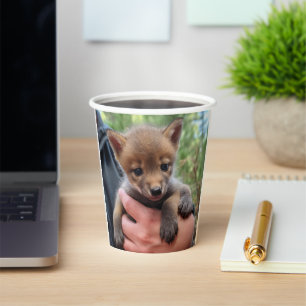Kleine Coyote Papieren Bekers