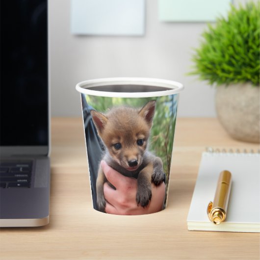 Kleine Coyote Papieren Bekers (Insitu)