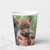Kleine Coyote Papieren Bekers (Achterkant)