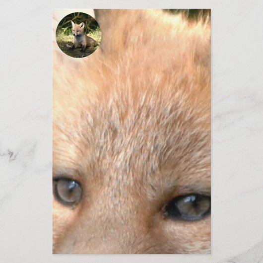 Kleine Cub Red Fox Briefpapier (Voorkant)