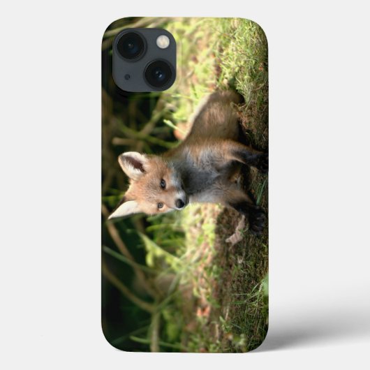Kleine Cub Red Fox Case-Mate iPhone Case (Achterkant)