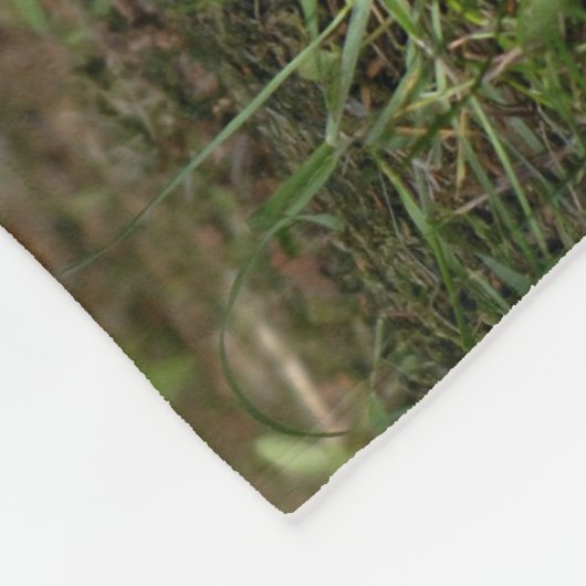 Kleine Cub Red Fox Fleece Deken (Hoek)