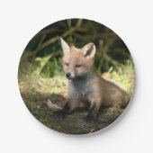 Kleine Cub Red Fox Papieren Bordje (Voorkant)