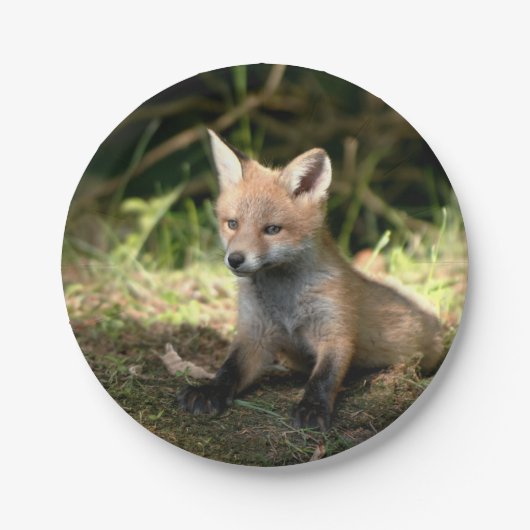 Kleine Cub Red Fox Papieren Bordje (Voorkant)
