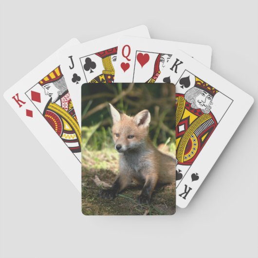 Kleine Cub Red Fox Pokerkaarten (Achterkant)