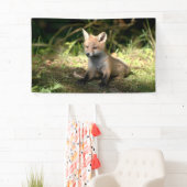 Kleine Cub Red Fox Spandoek (Insitu)
