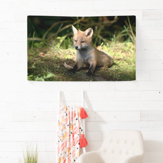 Kleine Cub Red Fox Spandoek (Insitu)