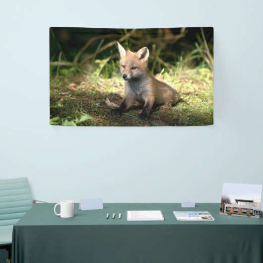 Kleine Cub Red Fox Spandoek (Beurs)