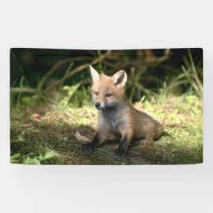 Kleine Cub Red Fox Spandoek
