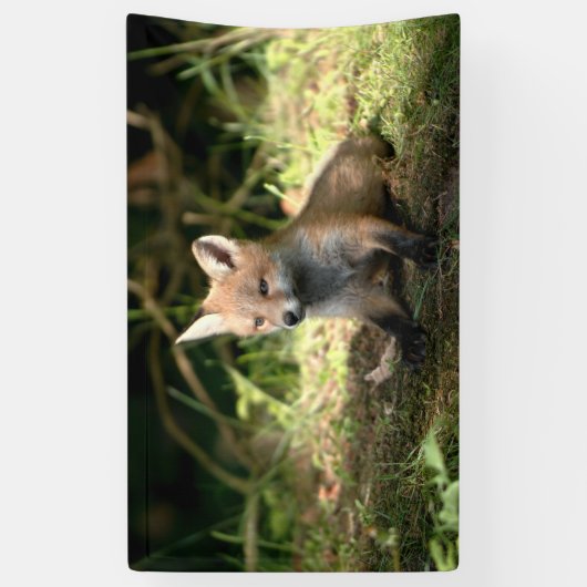 Kleine Cub Red Fox Spandoek (Verticaal)