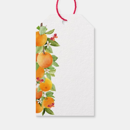 Kleine Cutie Citrus Sinaasappel Clementine Baby sh Cadeaulabel (Achterkant)