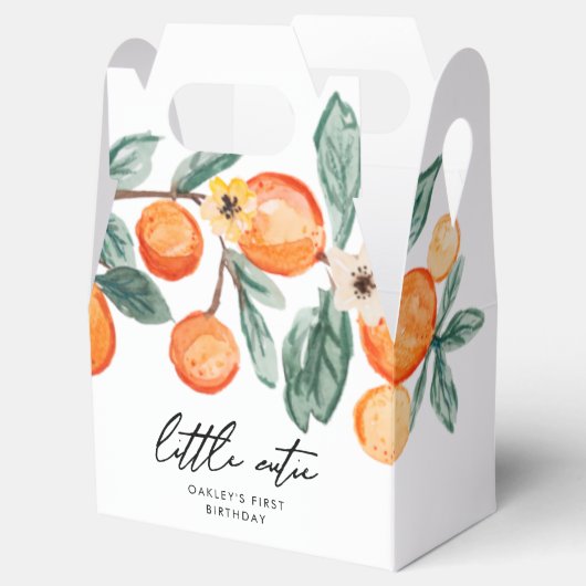 Kleine Cutie Clementine Favor Boxes Bedankdoosjes (Geopend)