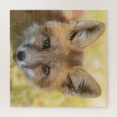 Kleine Cutie Fox Portret Legpuzzel (Horizontaal)