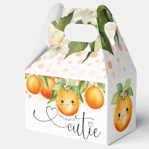 Kleine Cutie Oranje Citrus Baby shower Bedankdoosjes