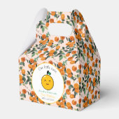 Kleine Cutie Sinaasappel Citrus 1e Verjaardag Bedankdoosjes (Achterkant)