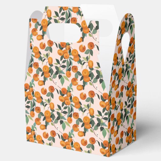 Kleine Cutie Sinaasappel Citrus 1e Verjaardag Bedankdoosjes (Geopend)