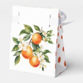 Kleine Cutie Sinaasappel Clementine Baby shower Fa Bedankdoosjes (Achterkant)