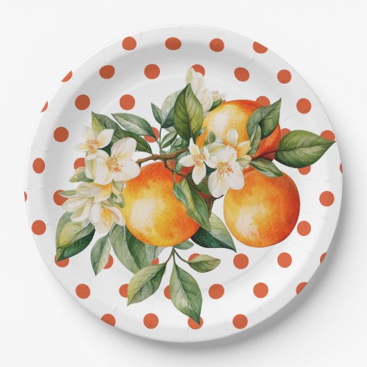 Kleine Cutie Sinaasappel Clementine Baby shower Fa Papieren Bordje (Voorkant)