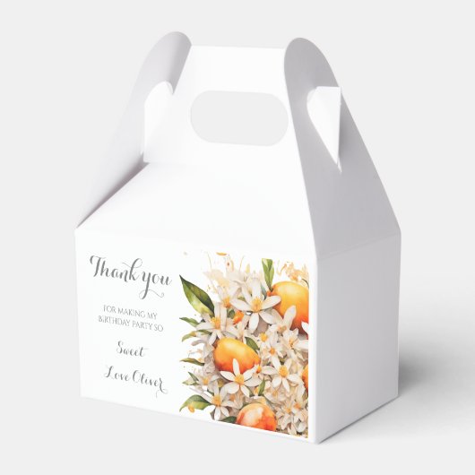 Kleine cutie Sinaasappel Tangerine Baby shower Cit Bedankdoosjes (Achterkant)