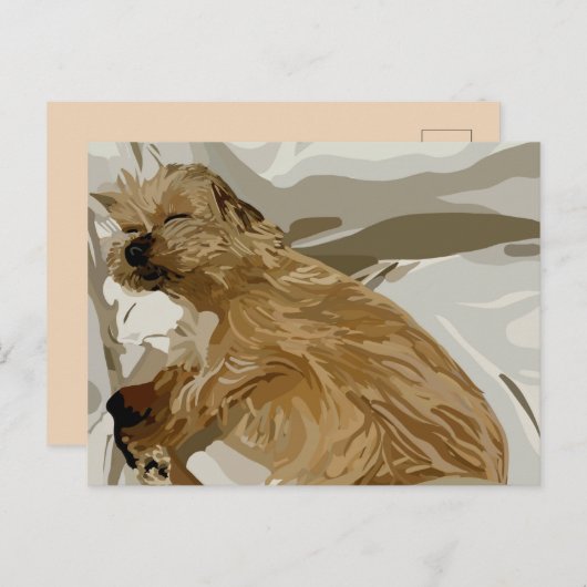 kleine Daisy-hond Feestdagenkaart (Voorkant / Achterkant)