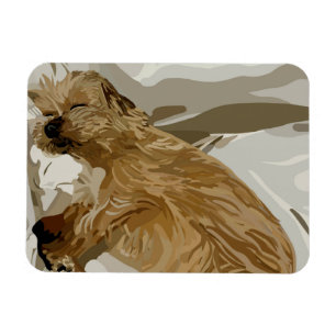 Kleine Daisy hond Magneet