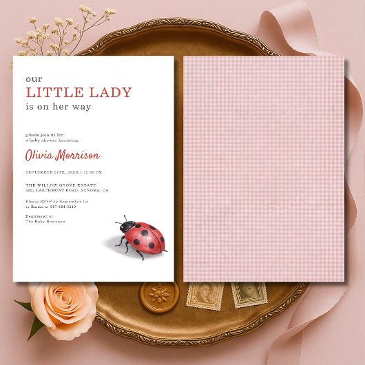 Kleine Dame Lieveheersbeestje Gingham Baby Shower Kaart