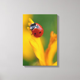 Kleine dame op een bloem canvas afdruk