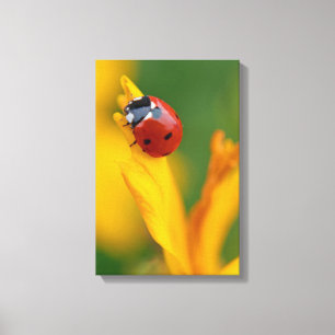 Kleine dame op een bloem canvas afdruk