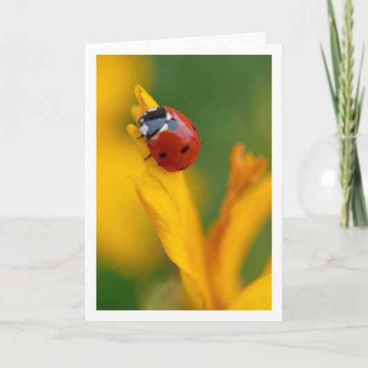 Kleine dame op een bloem notitiekaartje (Voorkant)