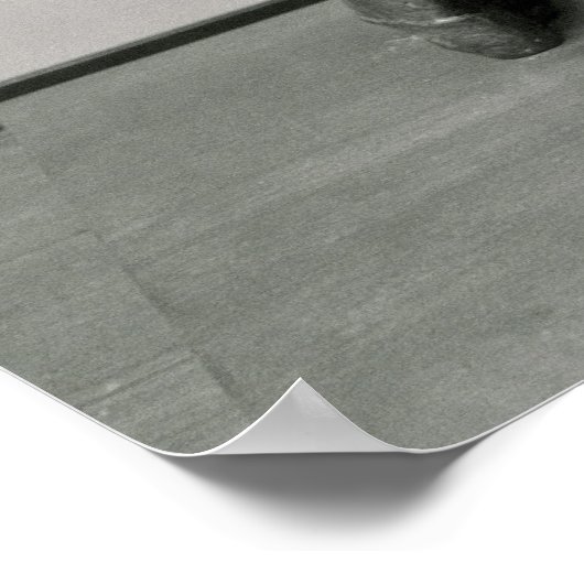 Kleine danser, 14 jaar oud poster (Hoek)