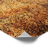 KLEINE DAZZEL (HERD) VAN ZEBRA POSTER (Hoek)